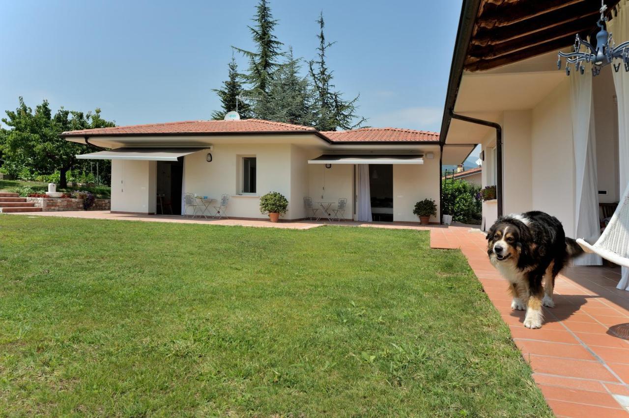Villa Josephine San Felice del Benaco Bagian luar foto
